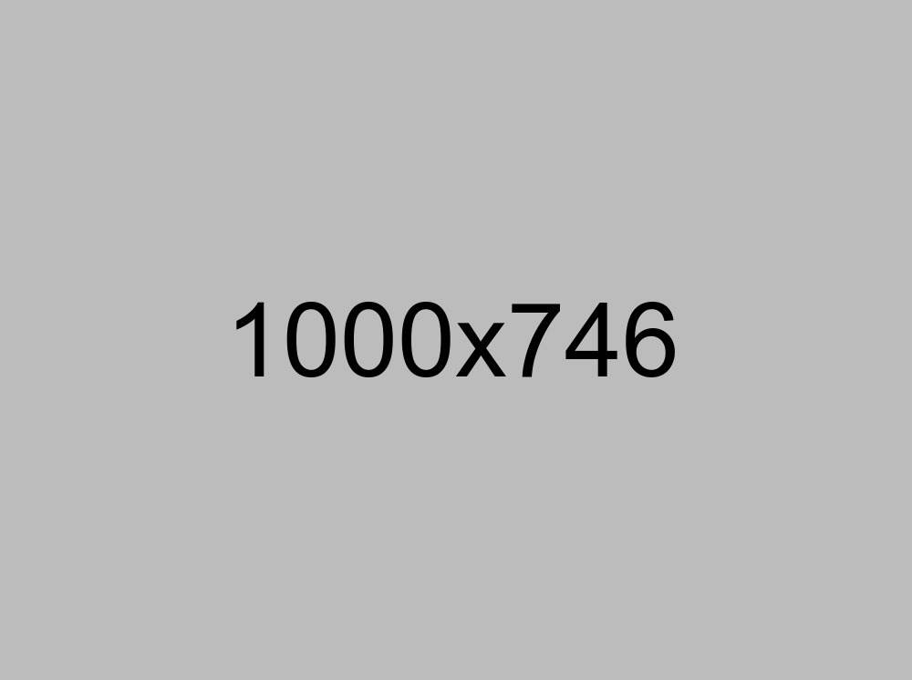 //www.hitlerdiaries.com/wp-content/uploads/2017/08/about_me.jpg